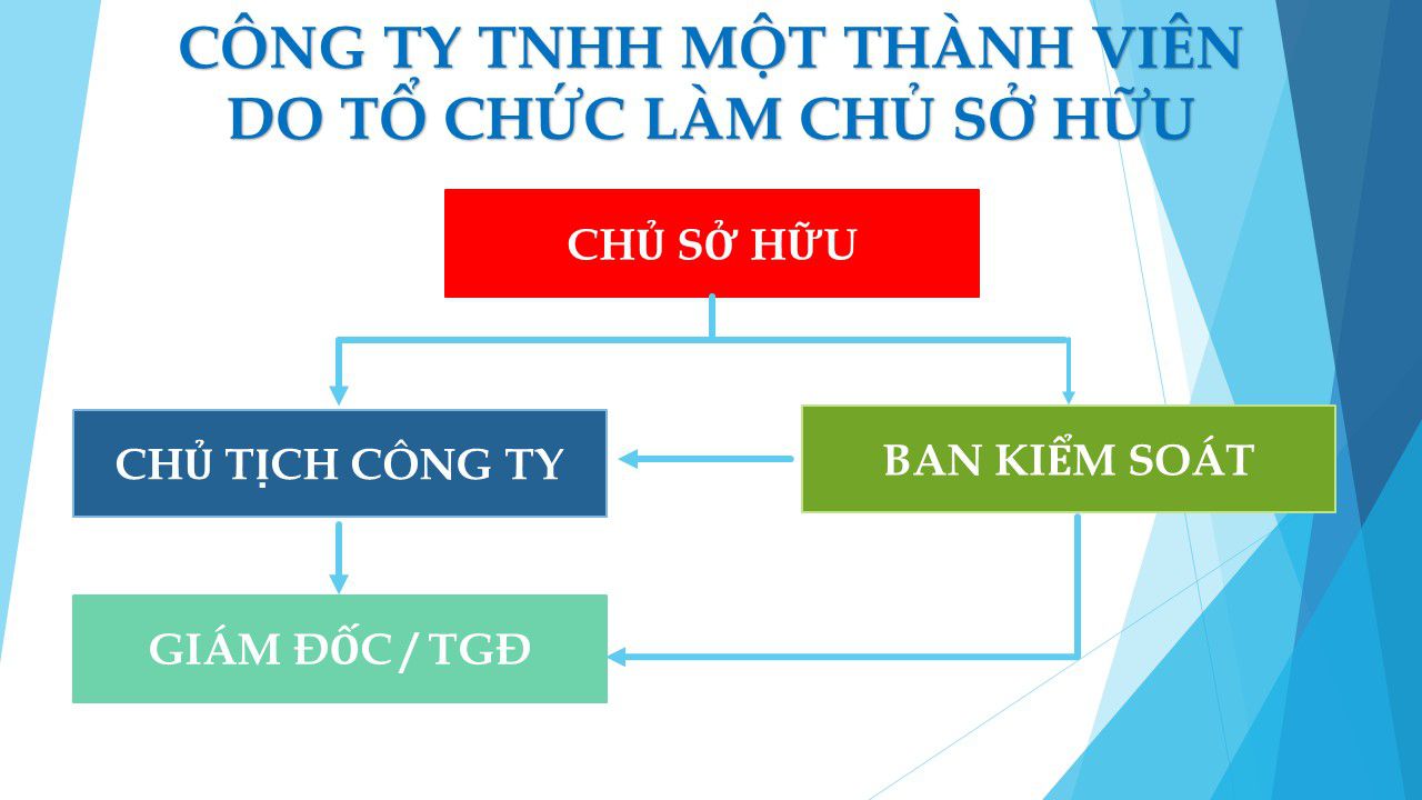 mô hình tổ chức công ty tnhh một thành viên