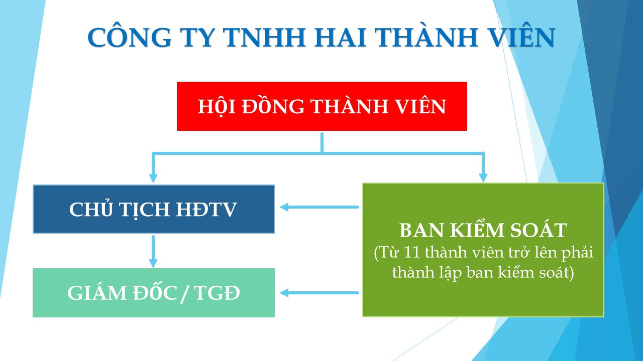 Cơ cấu tổ chức Công ty tnhh 2 thành viên